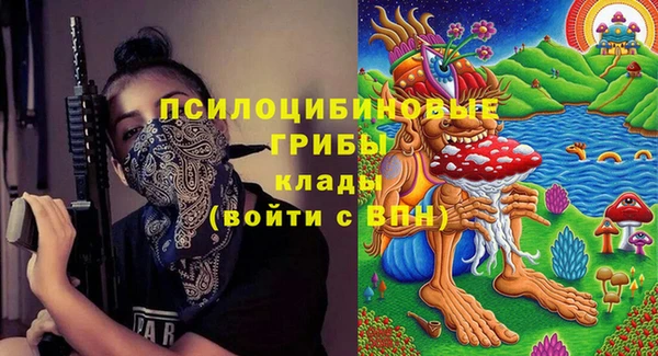 бошки Алексеевка