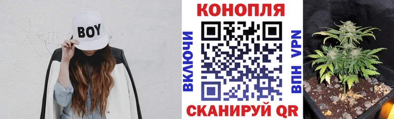 цена наркотик  Тула  mega маркетплейс  Конопля AK-47 